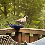 Chalet Sequoia 138 Nature, Piscine Et Chien Bienvenu A *