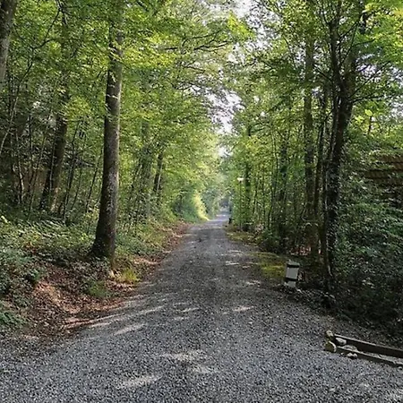 Alpesi faház Sequoia 138 Nature, Piscine Et Chien Bienvenu A
