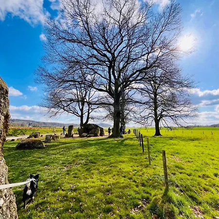 Chalet Séquoia 138 Nature, Piscine Et Chien Bienvenu à