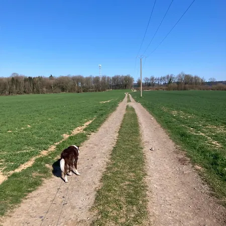 Séquoia 138 Nature, Piscine Et Chien Bienvenu à Chalet Durbuy