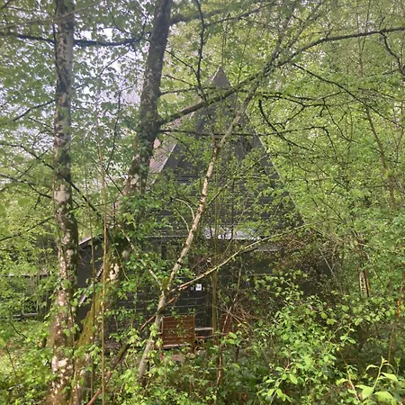 Séquoia 138 Nature, Piscine Et Chien Bienvenu à Chalet Durbuy