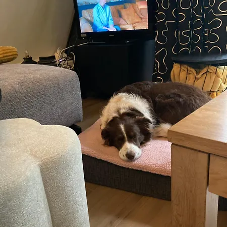 Alpehytte Sequoia 138 Nature, Piscine Et Chien Bienvenu A *