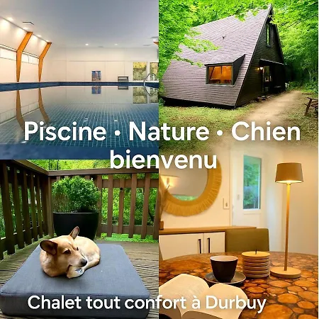 Chalet Sequoia 138 Nature, Piscine Et Chien Bienvenu A *