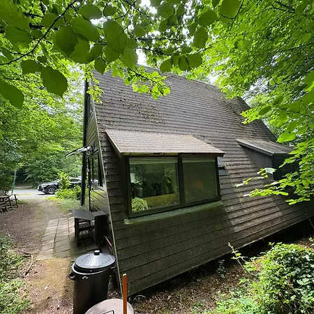 シャレー Sequoia 138 Nature, Piscine Et Chien Bienvenu A デュルビュイ