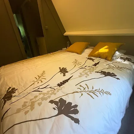 Chalet Sequoia 138 Nature, Piscine Et Chien Bienvenu A *