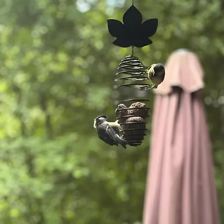 Sequoia 138 Nature, Piscine Et Chien Bienvenu A Durbuy