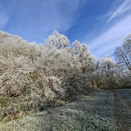 Chalet Séquoia 138 Nature, Piscine Et Chien Bienvenu à *