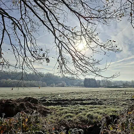 Chalet Séquoia 138 Nature, Piscine Et Chien Bienvenu à *